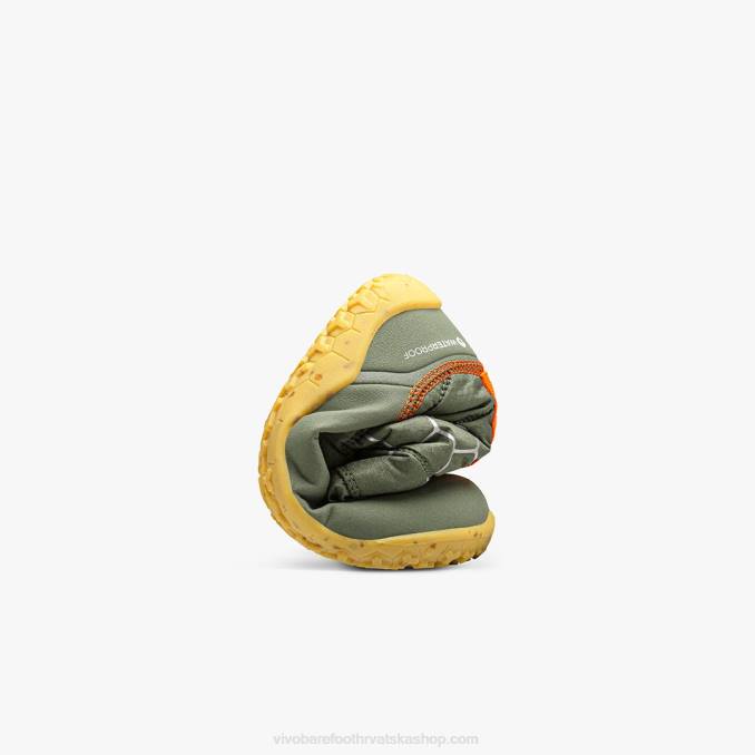 lumi djeco B6LZ211 Vivobarefoot botanička zelena